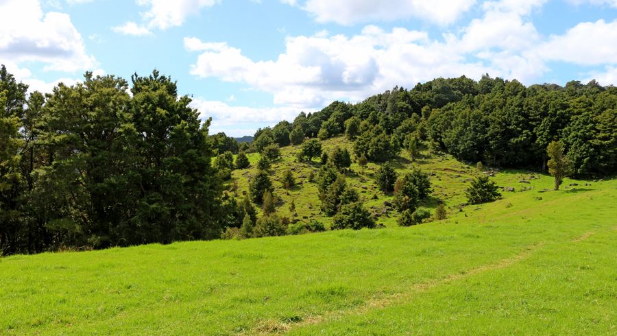  at 0 Tapuhi Road, Hukerenui, Hikurangi