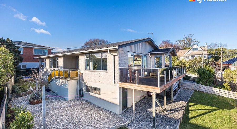  at 175 Scott Street, Waverley, Dunedin