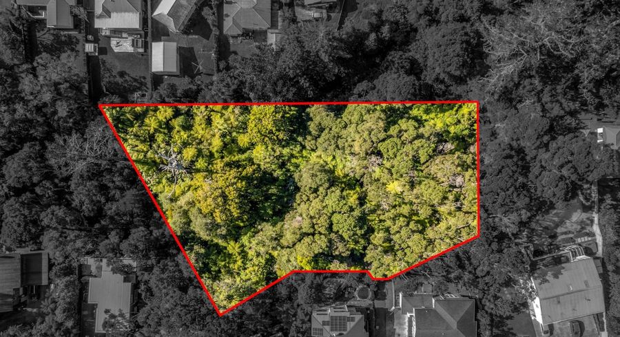  at 40D Konini Road, Titirangi, Waitakere City, Auckland