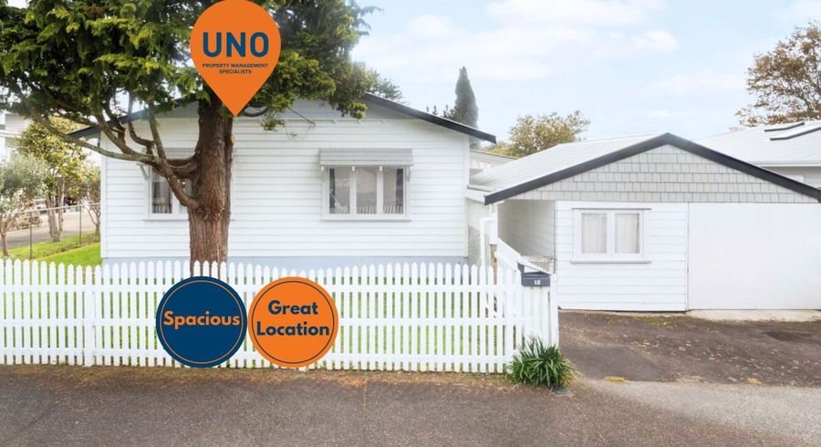  at 13 Miller St, Point Chevalier, Auckland City, Auckland