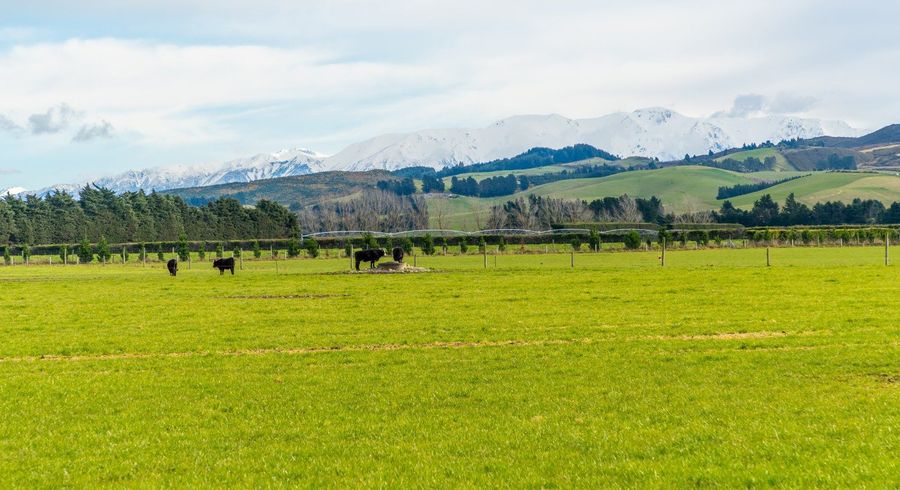  at 0 Plantation Road, Maungatautari, Cambridge