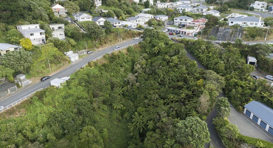  at 72 Farnham Street, Mornington, Wellington, Wellington
