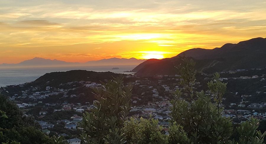  at Southgate, Wellington, Wellington