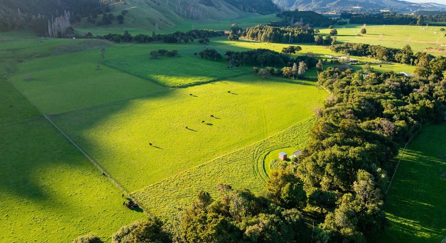  at 194D Underhill Road, Greytown, South Wairarapa, Wellington