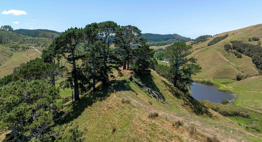  at 273 Wentworth Valley Road, Whangamata, Thames-Coromandel, Waikato