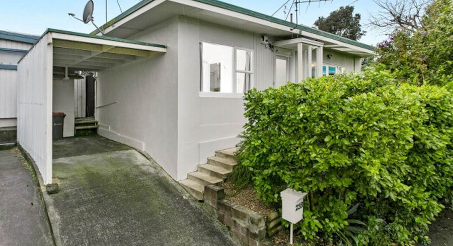  at 23B Euston Road, Sandringham, Auckland City, Auckland