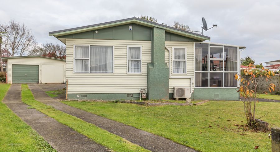  at 4 Vogel Street, Levin, Levin