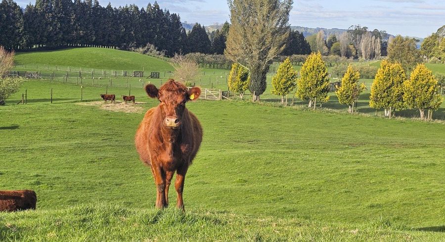  at 94 Oturoa Road, Hamurana
