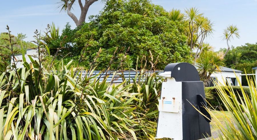  at 384 Taieri Mouth Road, Kuri Bush, Brighton