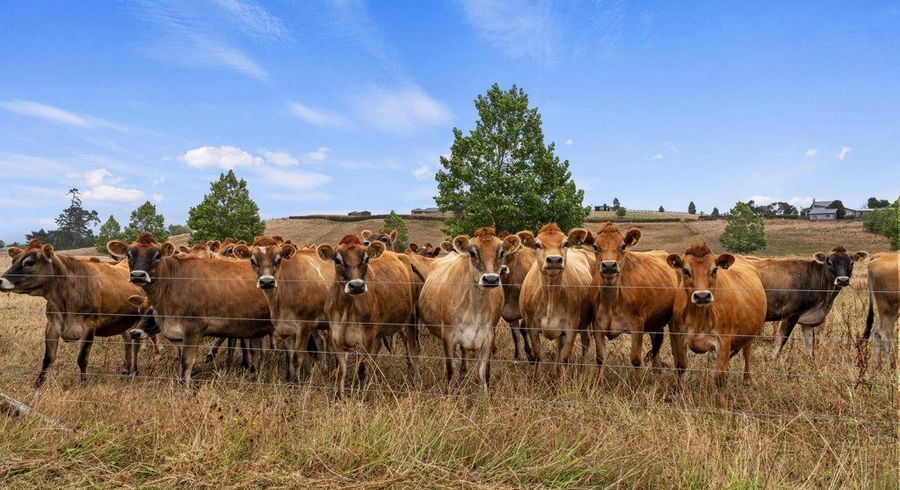  at 56 Onion Road, Te Kowhai, Waikato, Waikato