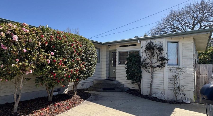  at 21B Boundary Road, Claudelands, Hamilton, Waikato