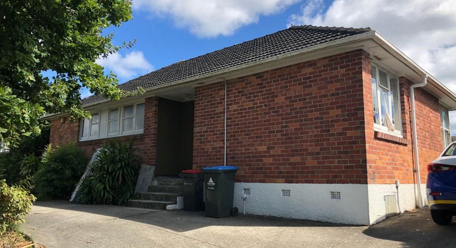  at 163 Taniwha Street, Glen Innes, Auckland