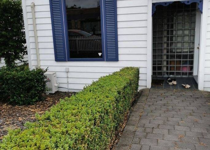  at 294A Great South Rd, Greenlane, Auckland City, Auckland