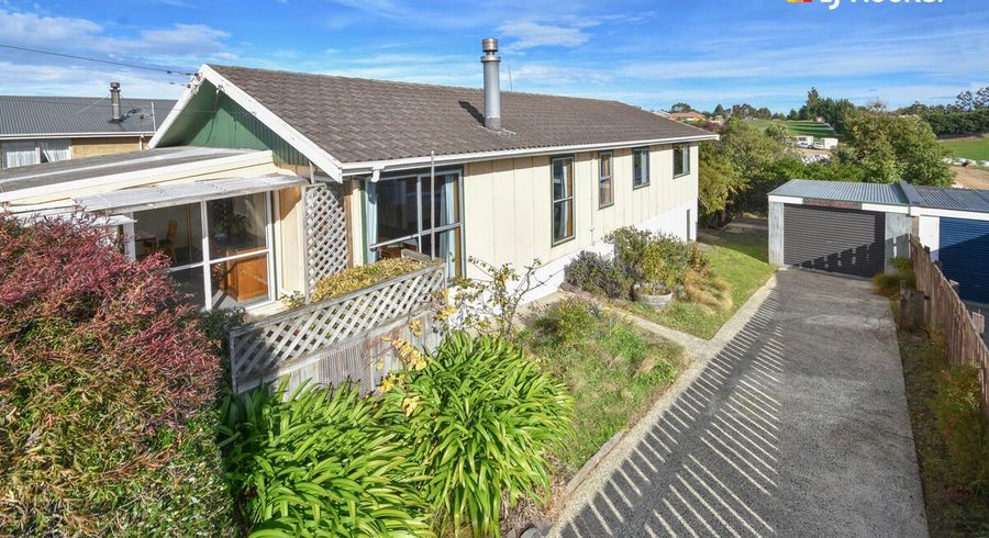  at 229 Mulford Street, Concord, Dunedin