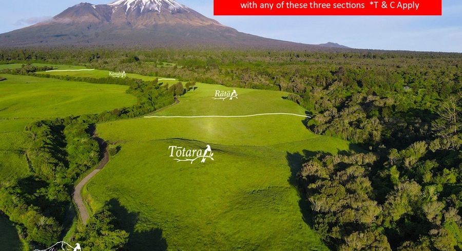  at 44 Barclay Road, Stratford West, Stratford, Taranaki