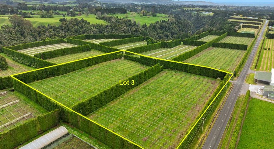  at Lot 3/1010 Te Matai Road, Te Puke, Western Bay Of Plenty, Bay Of Plenty