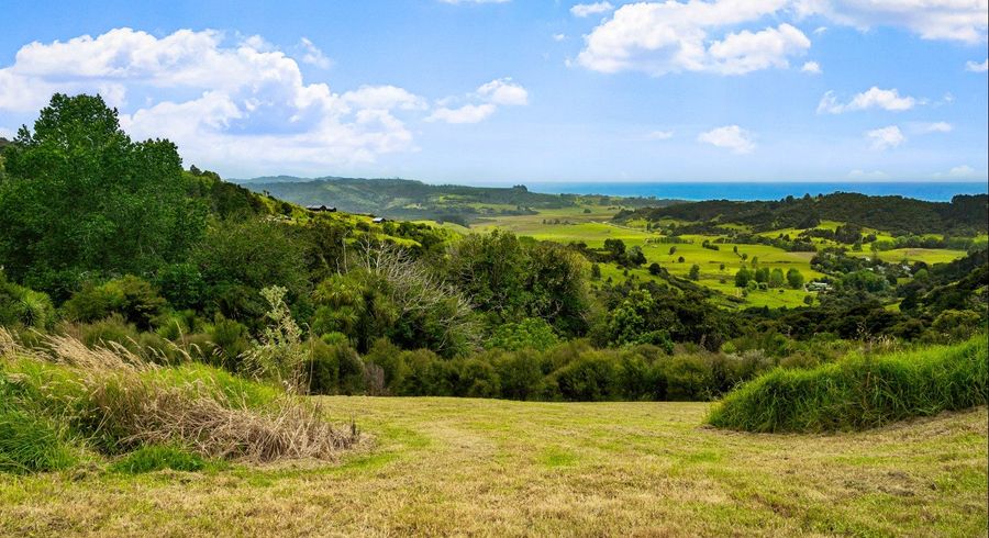  at 85 Tiro Lane, Pakiri, Rodney, Auckland