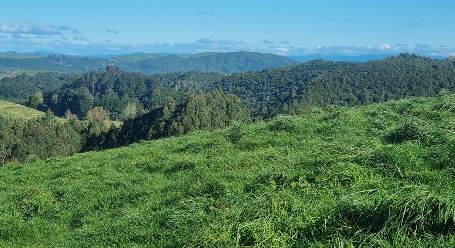  at 111 Otake Road, Marotiri, Taupo, Waikato