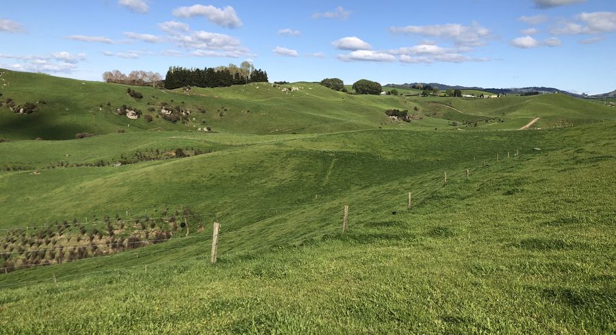  at 428 Whatauri Road, Wharepapa South