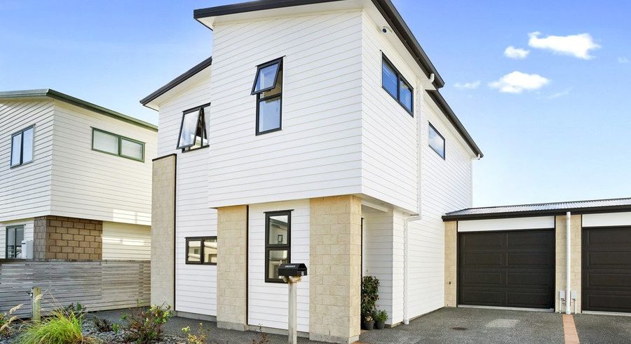  at 17 Latimer Way, Petone, Lower Hutt, Wellington
