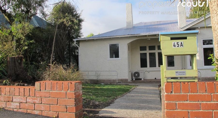  at 45 Grendon Street, Maori Hill, Dunedin