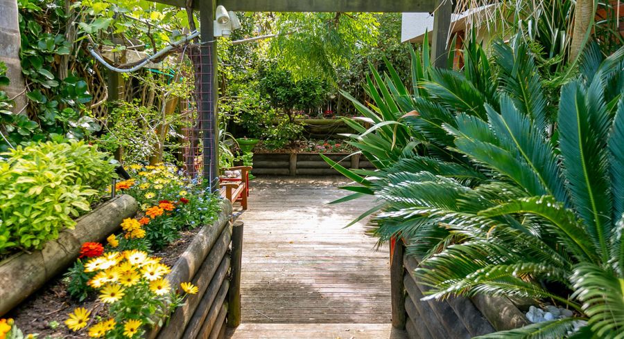  at 704A Papamoa Beach Road, Papamoa, Tauranga, Bay Of Plenty