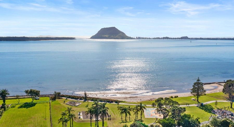  at 8 Aylesbury Terrace, Otumoetai, Tauranga, Bay Of Plenty