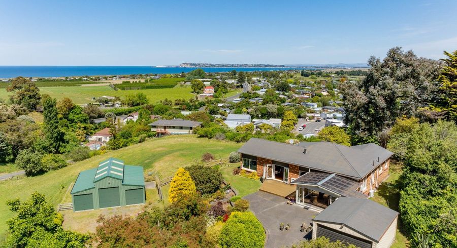  at 15 Terrace Road, Bay View, Napier