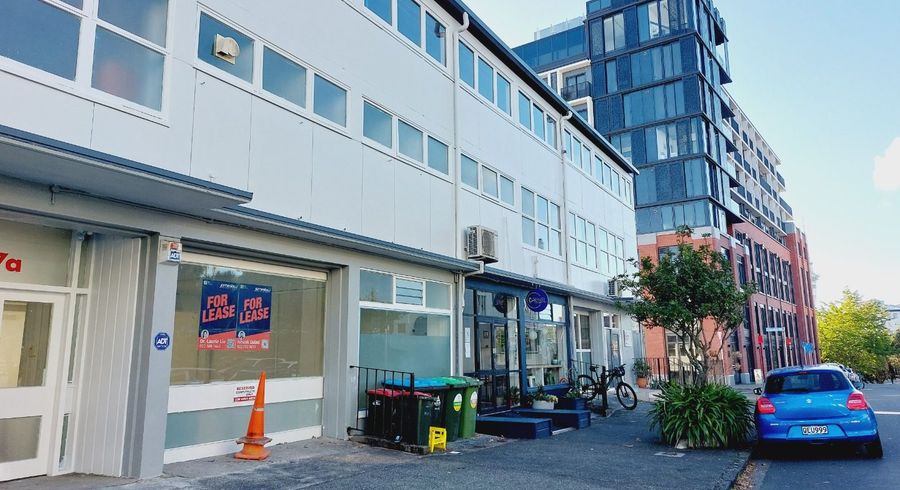  at 21  Karaka Street, Eden Terrace, Auckland City, Auckland