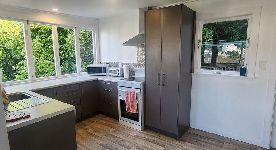  at 41A Ohiro Road, Aro Valley, Wellington, Wellington