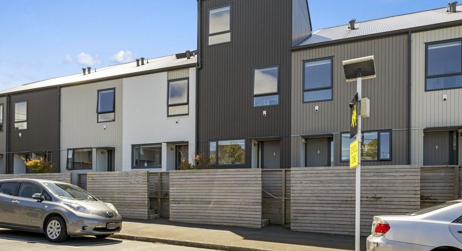  at 3/124 BRITOMART ST, Berhampore, Wellignton