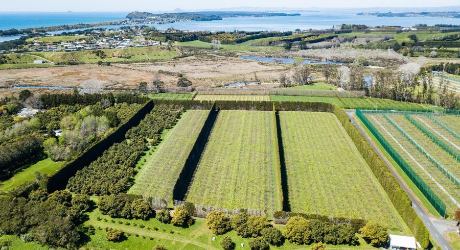 at 26 Capamagian Drive, Athenree, Western Bay Of Plenty, Bay Of Plenty