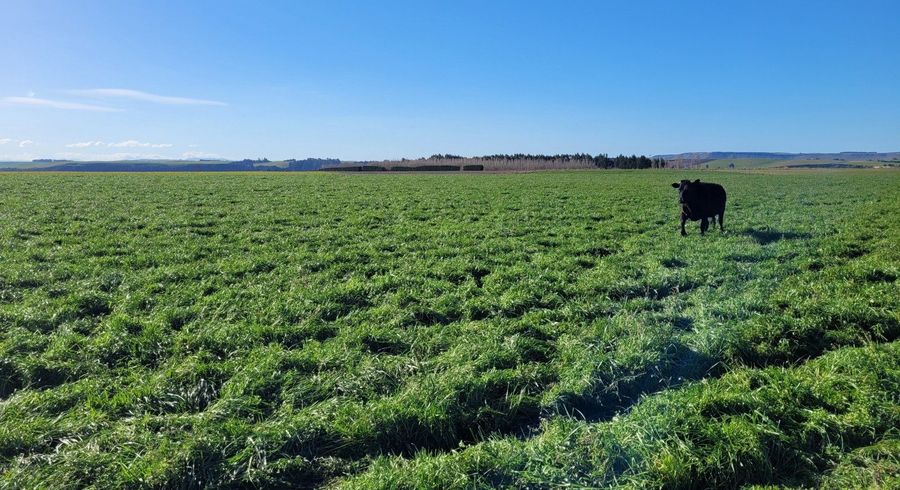  at 0 School Rd, Kakanui, Oamaru