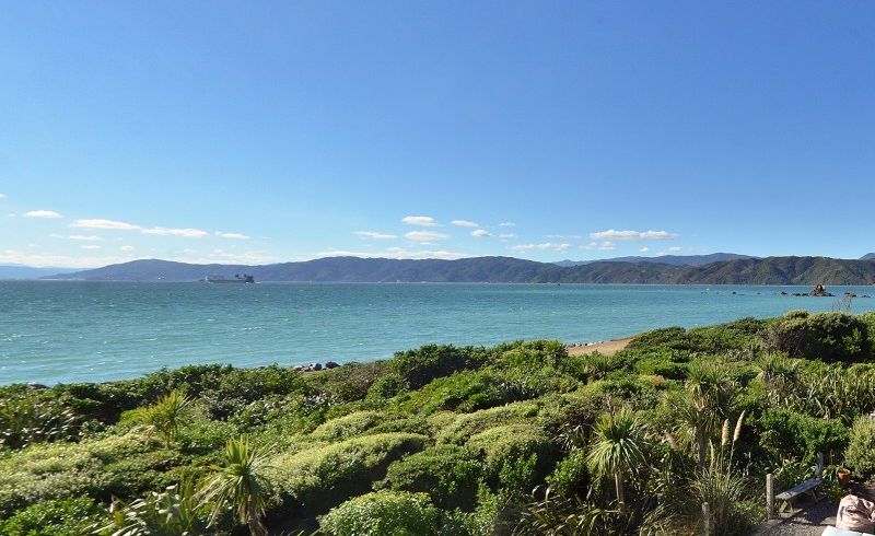  at 17 Boardwalk Lane, Seatoun, Wellington