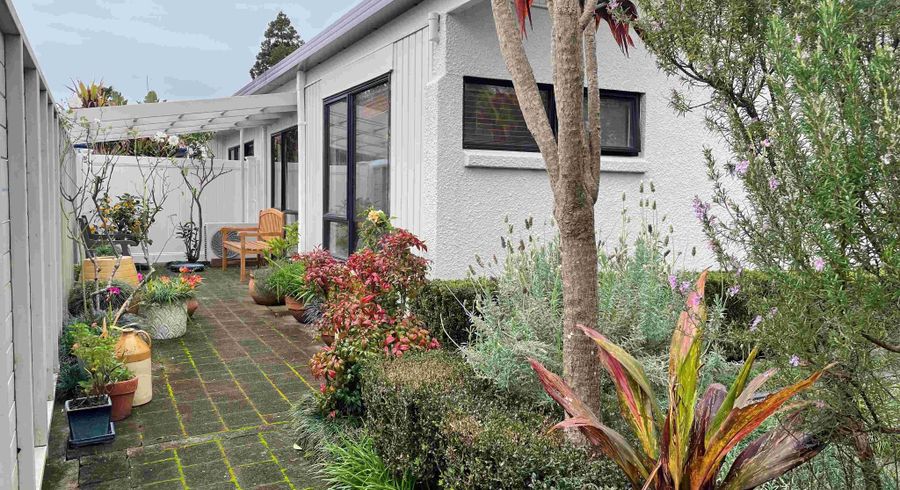  at Myres Street, Otumoetai, Tauranga, Bay Of Plenty