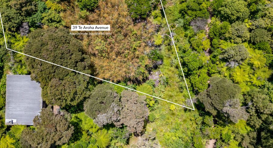  at 39 Te Aroha Avenue, Oneroa, Waiheke Island, Auckland