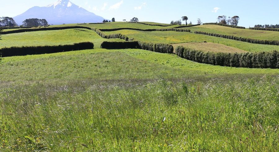  at 581r Pembroke Road, Stratford West, Stratford, Taranaki