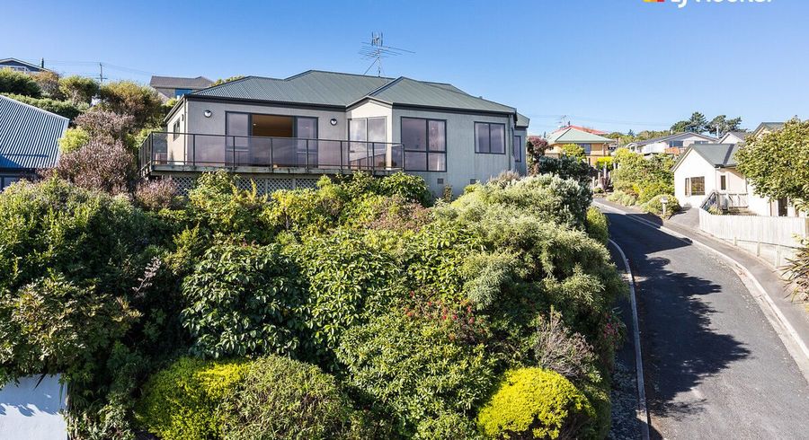  at 41 Moodie Street, Shiel Hill, Dunedin