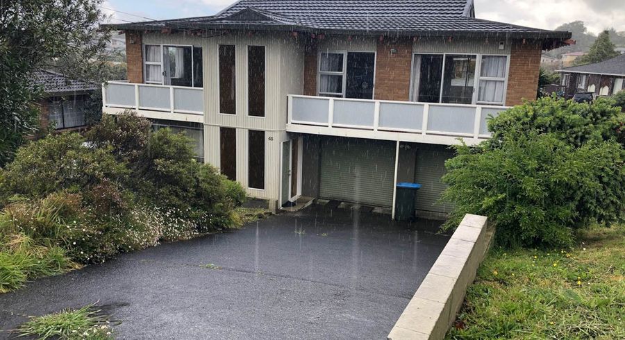  at 43 John Davis Road, Mount Roskill, Auckland City, Auckland