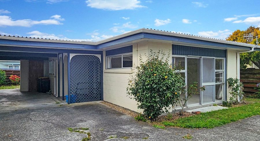  at 3/231 Waterloo Road, Hutt Central, Lower Hutt
