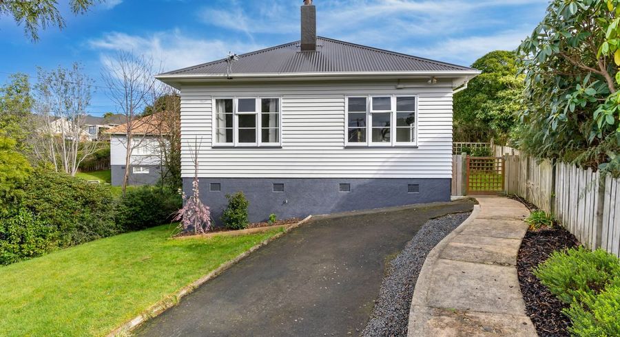  at 113 Chapman Street, Wakari, Dunedin