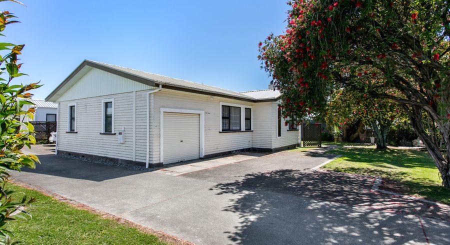  at 19 Albert Street, Te Hapara, Gisborne