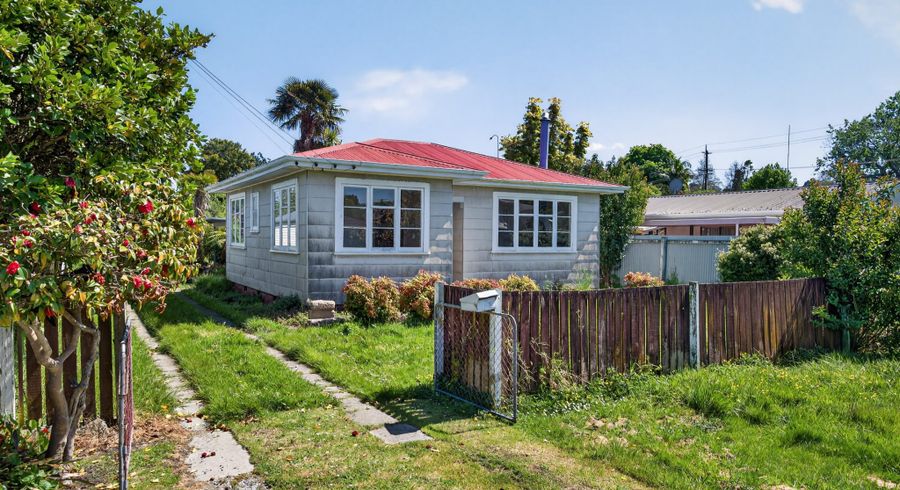  at 20 Willow Street, Mangapapa, Gisborne, Gisborne