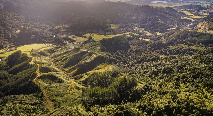  at 1870 The 309 Road, Whitianga, Thames-Coromandel, Waikato