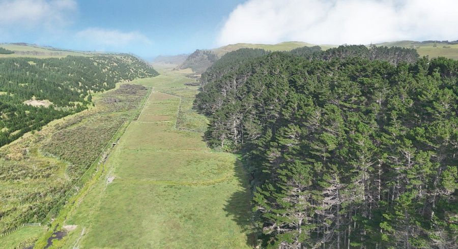  at 17 Kai Iwi Lakes Road, Dargaville, Kaipara, Northland