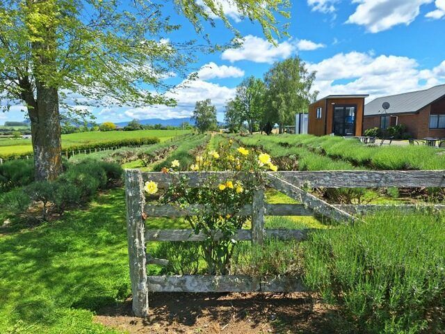  at 169 Brotherhood Road, Kihikihi, Te Awamutu