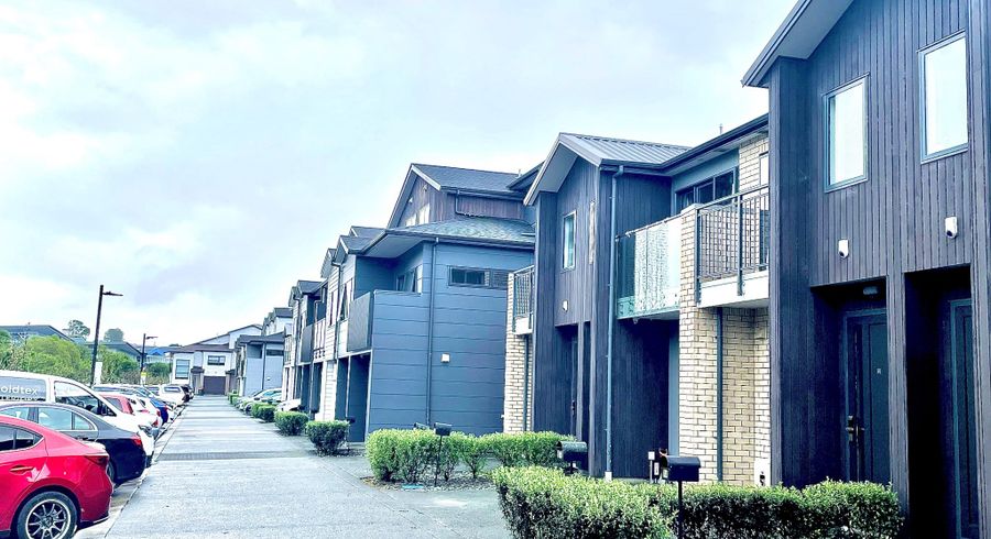  at 14 Ti Kouka Lane, Sandringham, Auckland