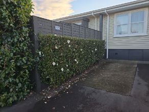  at 2/135 Fraser Street - AVENUES, Avenues, Tauranga, Bay Of Plenty