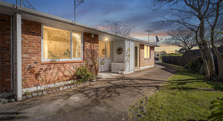  at 29B Mark Road, Mount Albert, Auckland City, Auckland