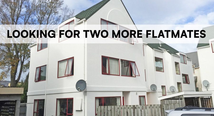  at 17/783 Great King Street, North Dunedin, Dunedin, Otago